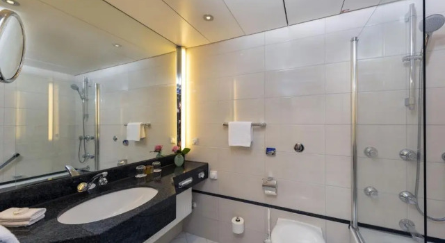 Семейный номер Comfort Maritim Hotel Frankfurt