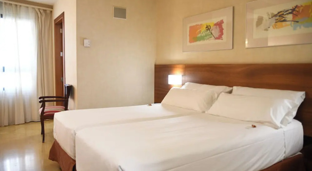 Двухместный номер Standard Sercotel Palacio de Tudemir