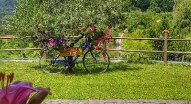 Relax nella Natura, Prenota Hotel Bolano Liguria