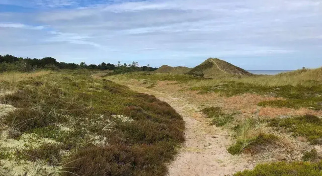 Коттедж 6 person holiday home in Læsø-By Traum