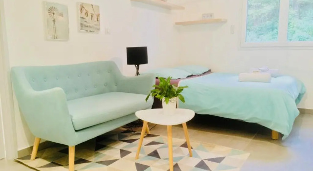 Студия Villa des Rubens