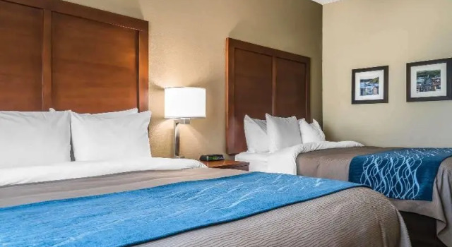 Четырёхместный номер Standard Country Inn & Suites by Radisson, Stillwater, MN