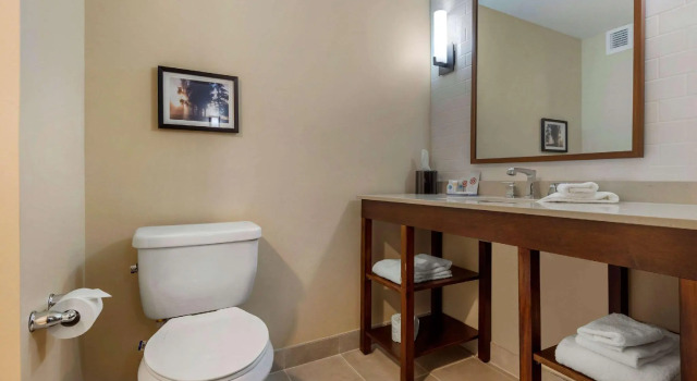 Двухместный люкс Comfort Inn & Suites