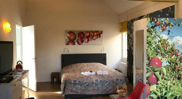 Номер Luxury Cozy Elst