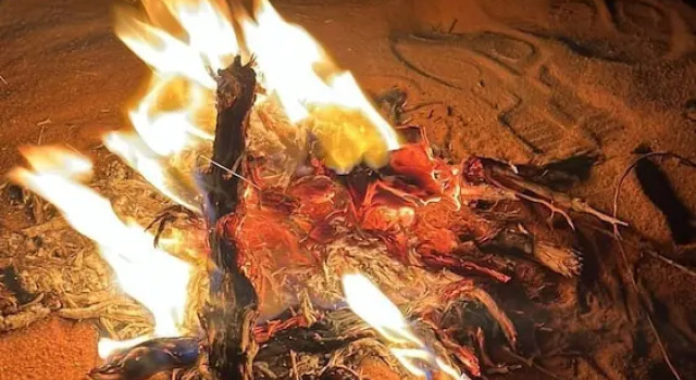 Семейный тент с видом на внутренний двор Wadi Rum Rose camP