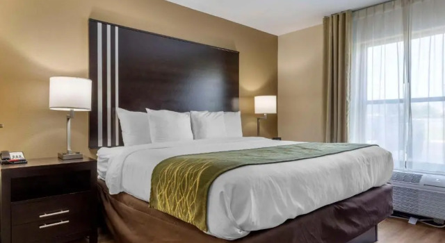 Люкс Comfort Inn near Downtown & Blue Ridge PKWY