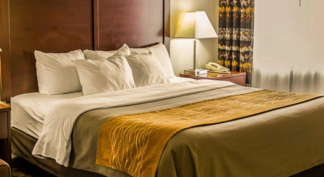 Люкс Comfort Inn Birch Run - Frankenmuth