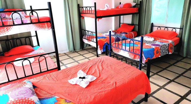 Pura Vida Hostel Manuel Antonio