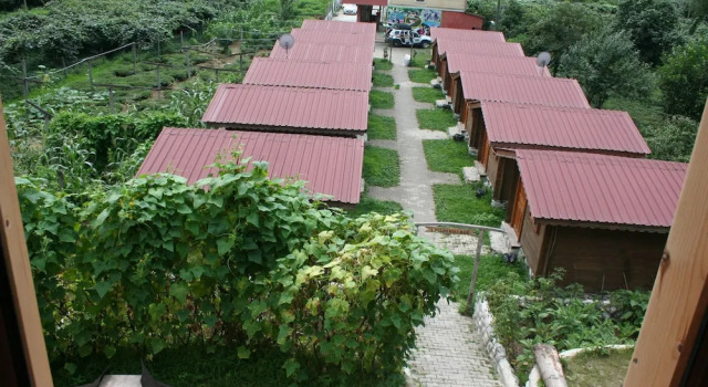 Бунгало Livadi Hotel