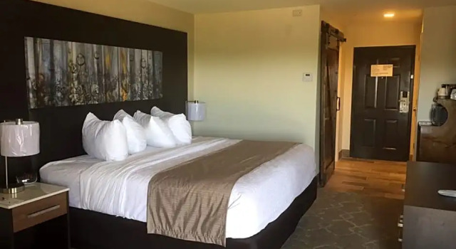 Standardowy dwuosobowy pokój Aiden by Best Western Warm Springs Hotel and Event