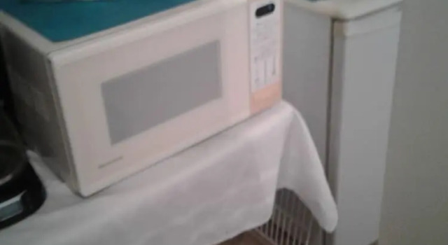 The Little Warm House - bed and Breakfast for Rent, Prenota Casa vacanze Weedon 