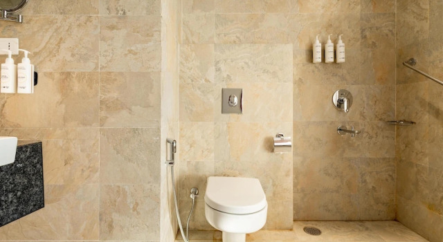 Номер Standard Temple Tree Hotel Shirdi, a member of Radisson Individuals