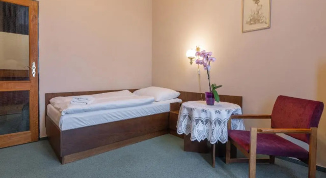 Номер Standard Hotel Slovan Plzeň