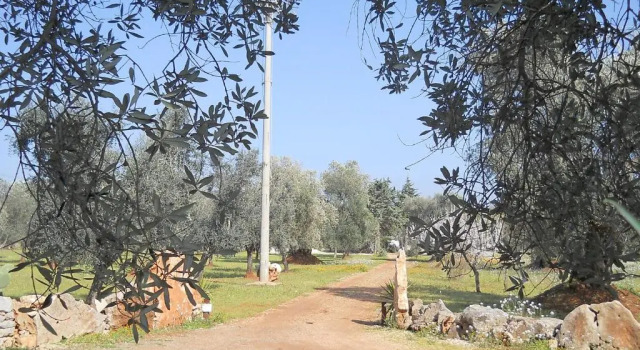 Коттедж Casa Zappa Dargento in Salento