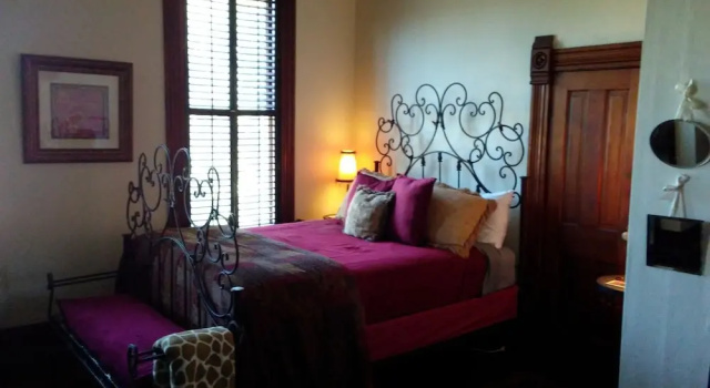 Standard Zimmer Fig Tree Manor