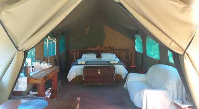 Forest Edge Glamping, Book Campingplads Camping og glamping i Wilderness, Campingplads