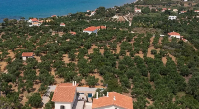 Villa Modone Villas in Peloponnese