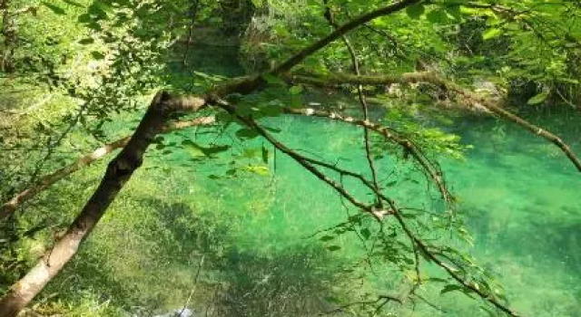 Номер Standard Le Mas Mélusine Chambres d hôtes avec piscine en oliveraie à Fayence