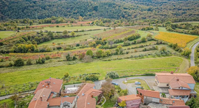 Holiday Home Rozina, Prenota Hotel Sežana Kras