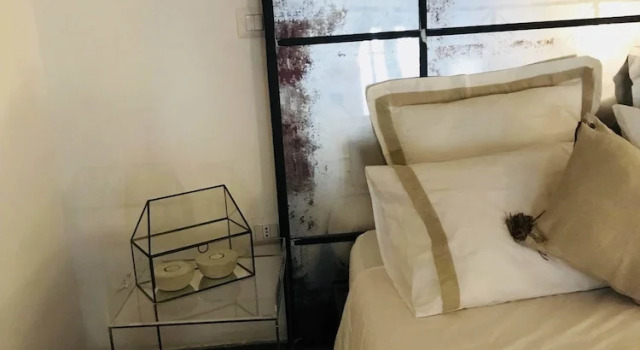 Apollo Studio Apartment
