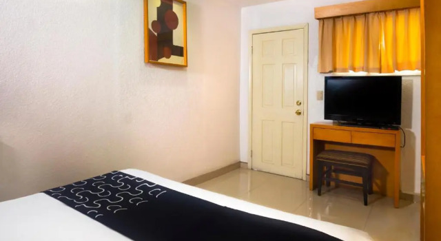Двухместный номер Standard Hotel Regis