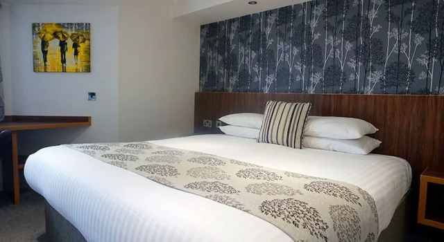 Номер Executive Damon’s Hotel