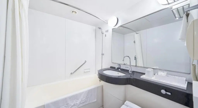 Трёхместный номер Standard Keio Plaza Hotel Sapporo