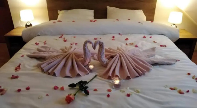 Двухместный номер Deluxe Hotel Panský dům
