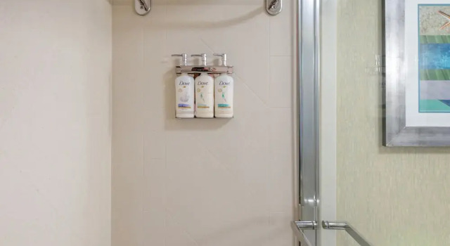 Двухместный номер Standard с балконом и oceanfront Holiday Inn & Suites Virginia Beach - North Beach by IHG