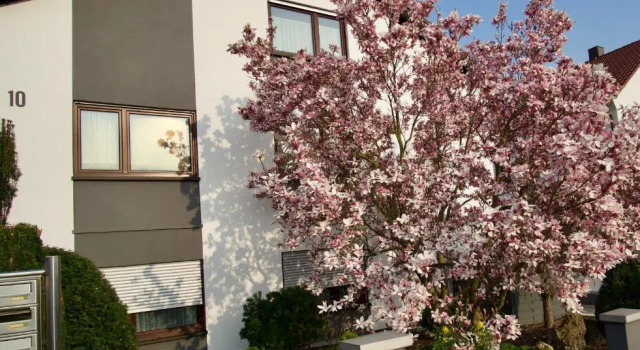 Ferienwohnung Charlotte, Забронировать Отель Вайзенхайм-ам-Занд Pfalz