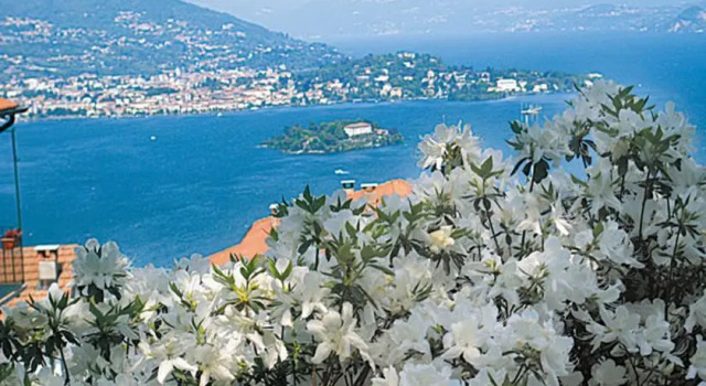 Casa Pepi, Prenota Appartamento Stresa Lago Maggiore