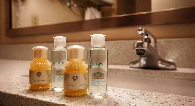 Двухместный номер Standard Four Points by Sheraton College Park Atlanta Airport
