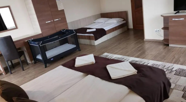 Четырёхместный номер Deluxe Pensiunea Andres
