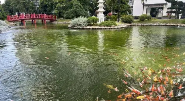 Vinhomes Grand Park Homestay-ZEN Garden Origami Residence, Забронировать Отель Отели Хошимина 3 звезды, 3*