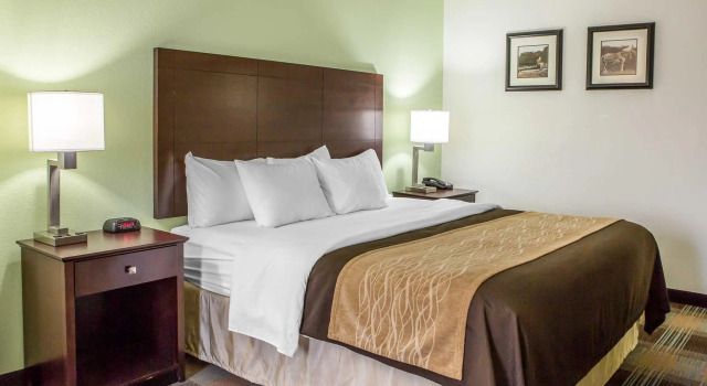 Номер Standard Comfort Inn Lexington South
