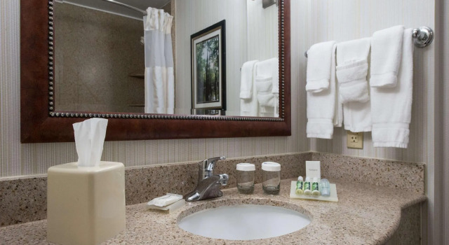 Двухместный номер Premium Hilton Garden Inn Lafayette/Cajundome