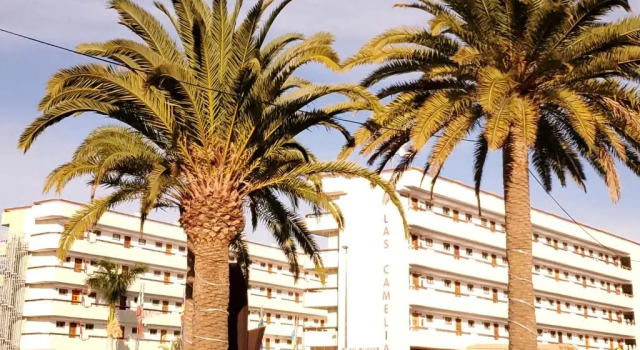 Апартаменты Vivienda Vacacional - Las Camelias #150710