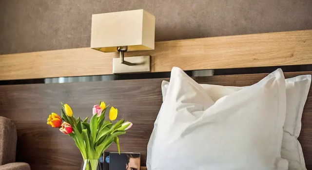 Одноместный номер Deluxe Dunav Plaza Hotel