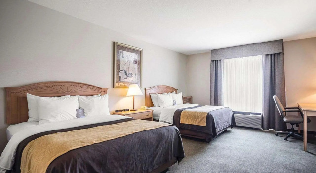 Четырёхместный номер Standard Comfort Inn & Suites