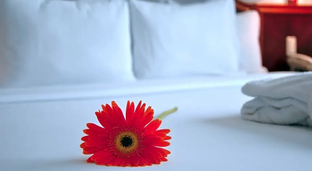 Одноместный номер Business Kingdom Hotel