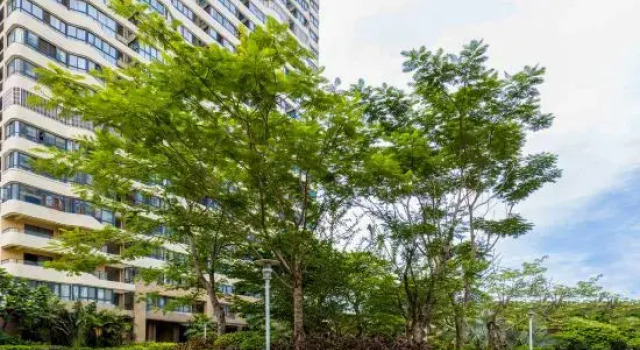 Habitat Homestay, Book Hotel Haikou Hainan