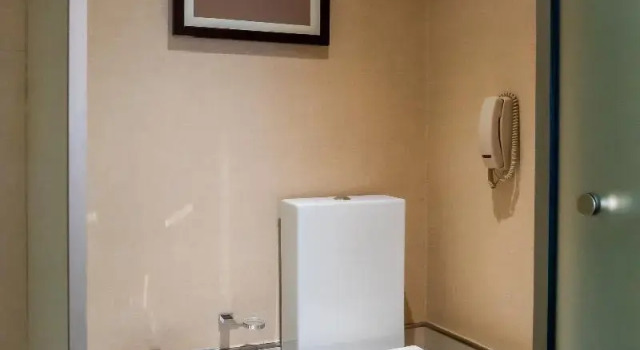 Двухместный номер Deluxe Hilton Mendoza