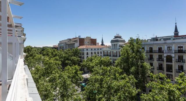 Petit Palace Lealtad Plaza