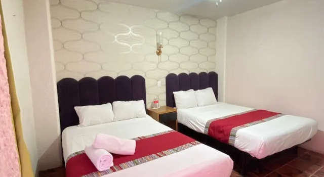 Четырёхместный номер Standard Hotel Flamingos