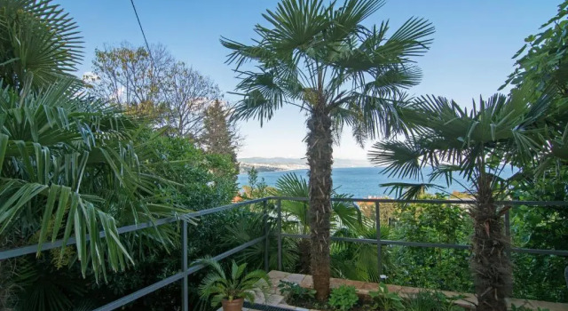 Номер Standard Apartments and Rooms Vila Irma