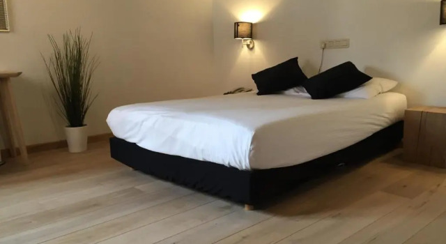 Двухместный номер Standard Hotel Le Cygne dArgent