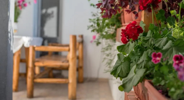 Студия Guesthouse Juli