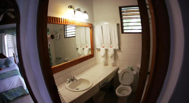 Люкс Negril Treehouse Resort