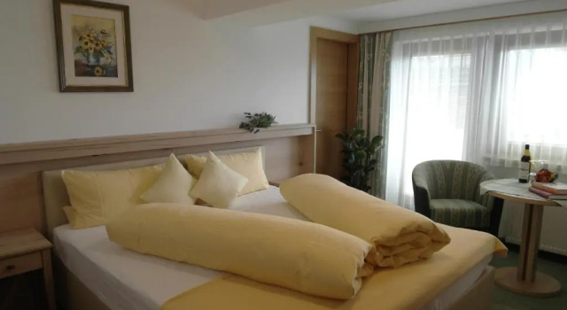 Номер Standard Hotel Garni Regina
