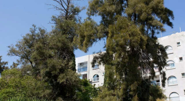 White Arches Sea View Apt No.1 by TrulyCyprus, Забронировать Апартаменты/квартира Агиос Тиконас Лимасол